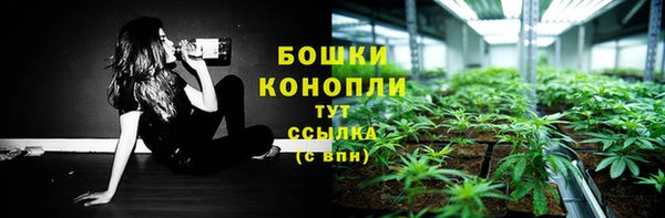 метадон Заводоуковск