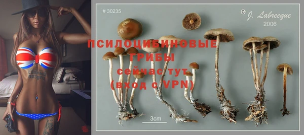 метадон Заводоуковск