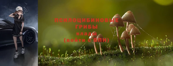 эйфоретик Заволжск