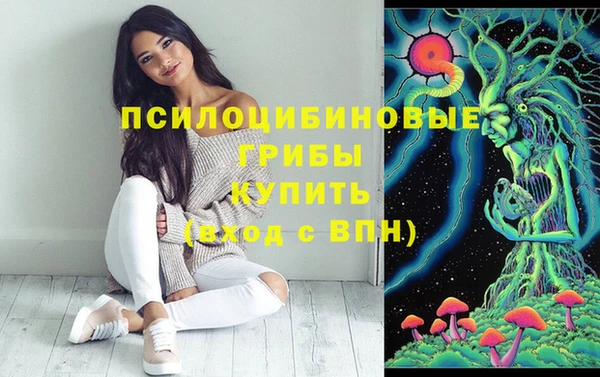 метадон Заводоуковск