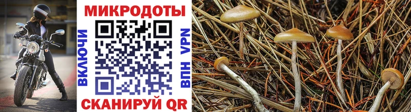 Галлюциногенные грибы мицелий  где найти наркотики  Балашиха 
